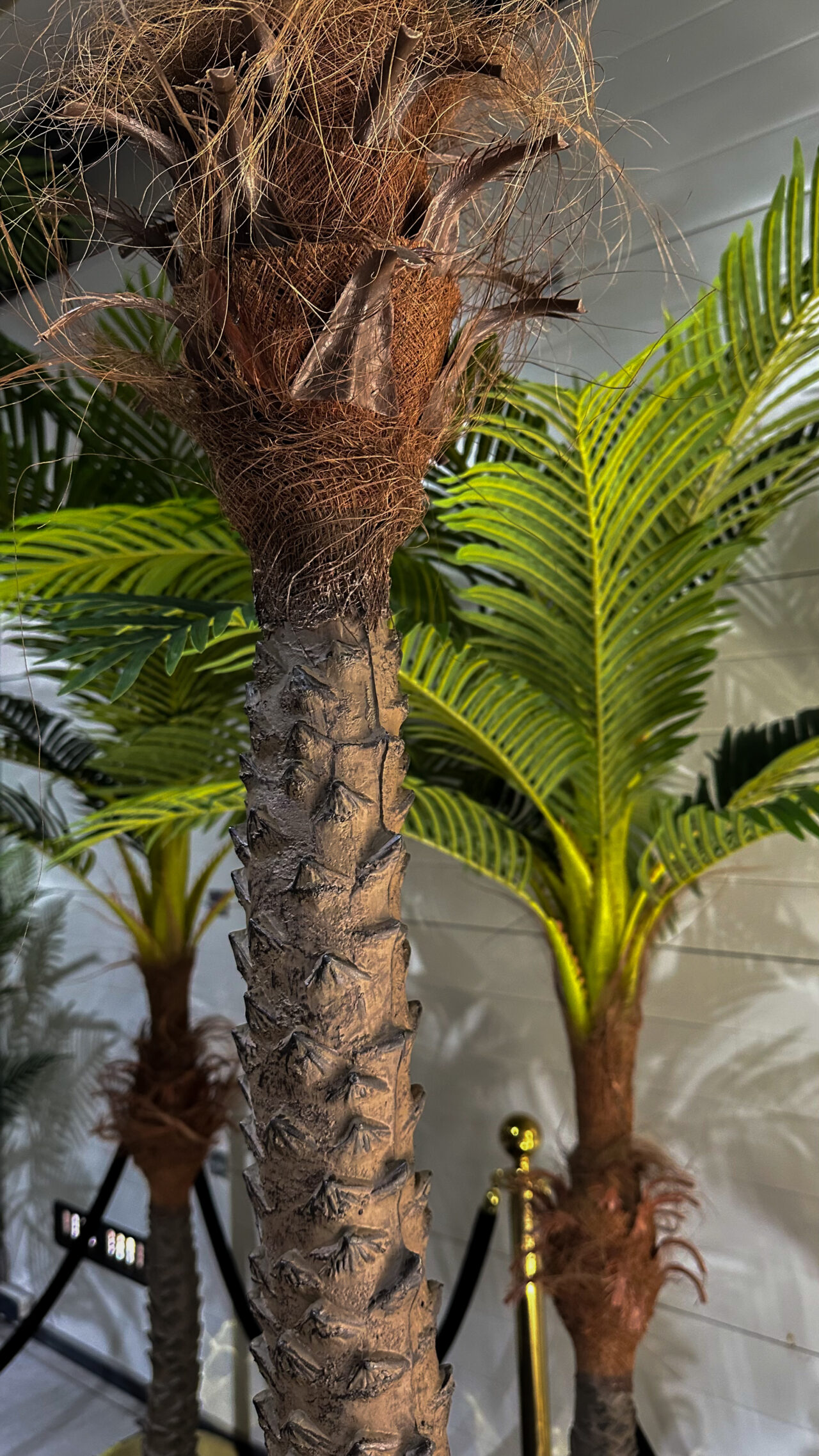 Palm set - Afbeelding 3