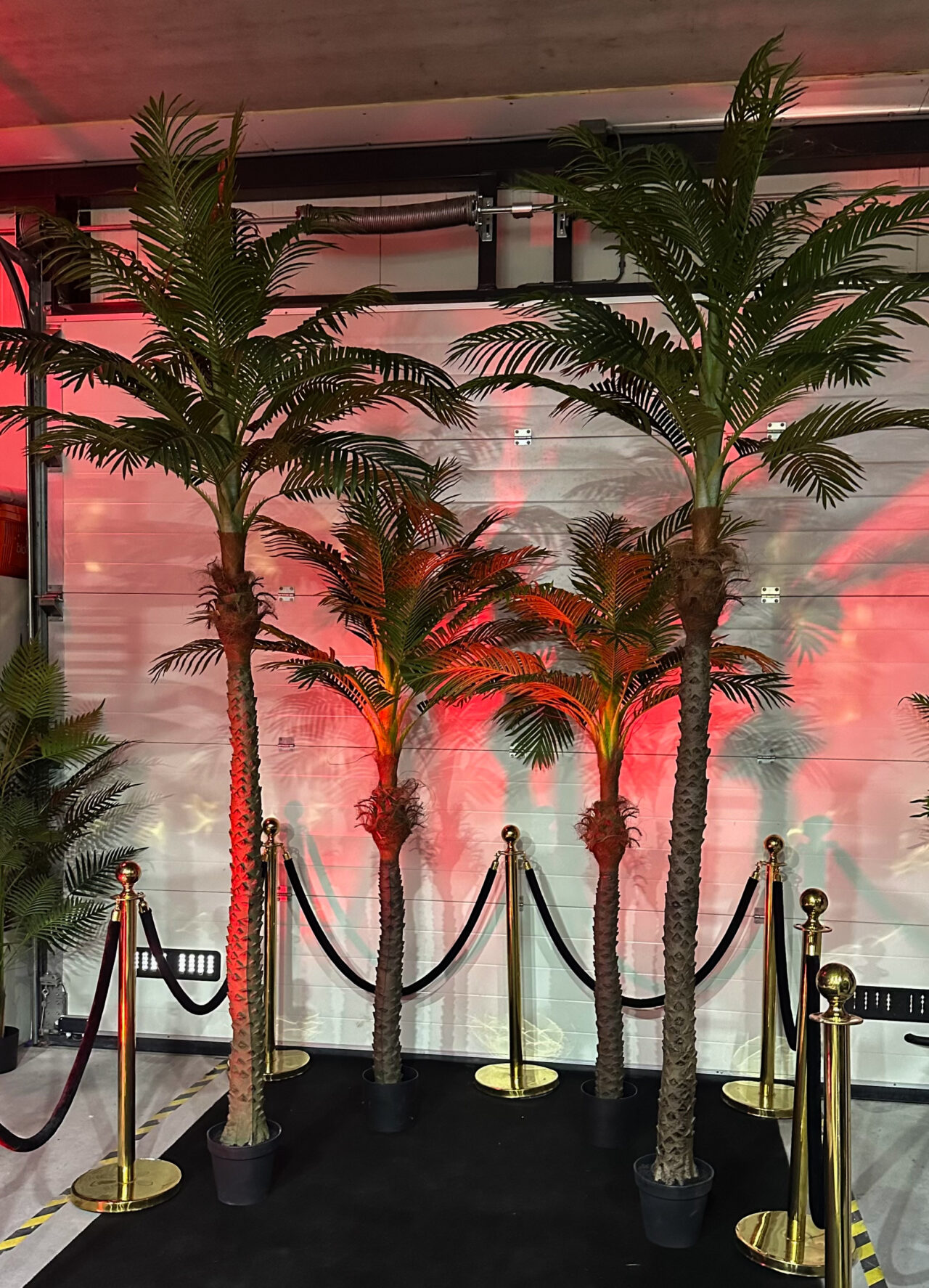 Palm set
